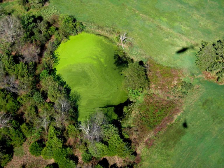 green landscape from above