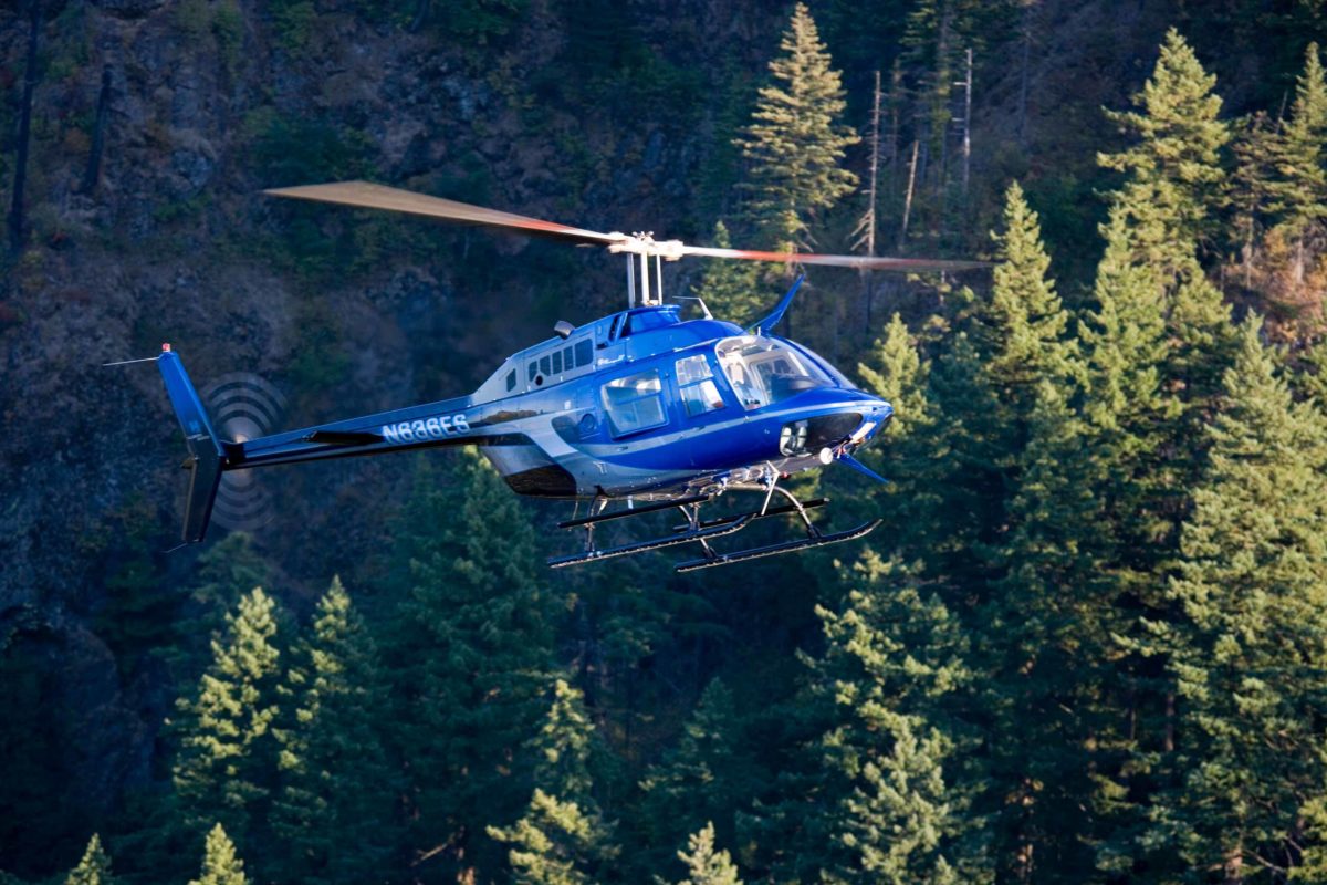 helicopter flying across evergreen trees